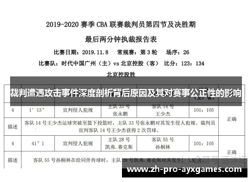 裁判遭遇攻击事件深度剖析背后原因及其对赛事公正性的影响