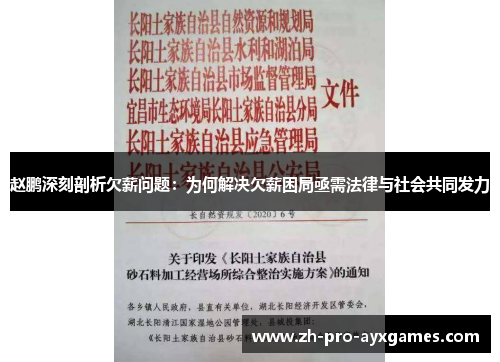 赵鹏深刻剖析欠薪问题:为何解决欠薪困局亟需法律与社会共同发力 赵鹏深刻剖析欠薪问题:为何解决欠薪困局亟需法律与社会共同发力