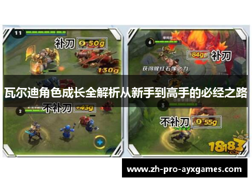 瓦尔迪角色成长全解析从新手到高手的必经之路