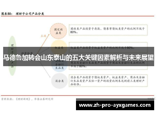 马德鲁加转会山东泰山的五大关键因素解析与未来展望